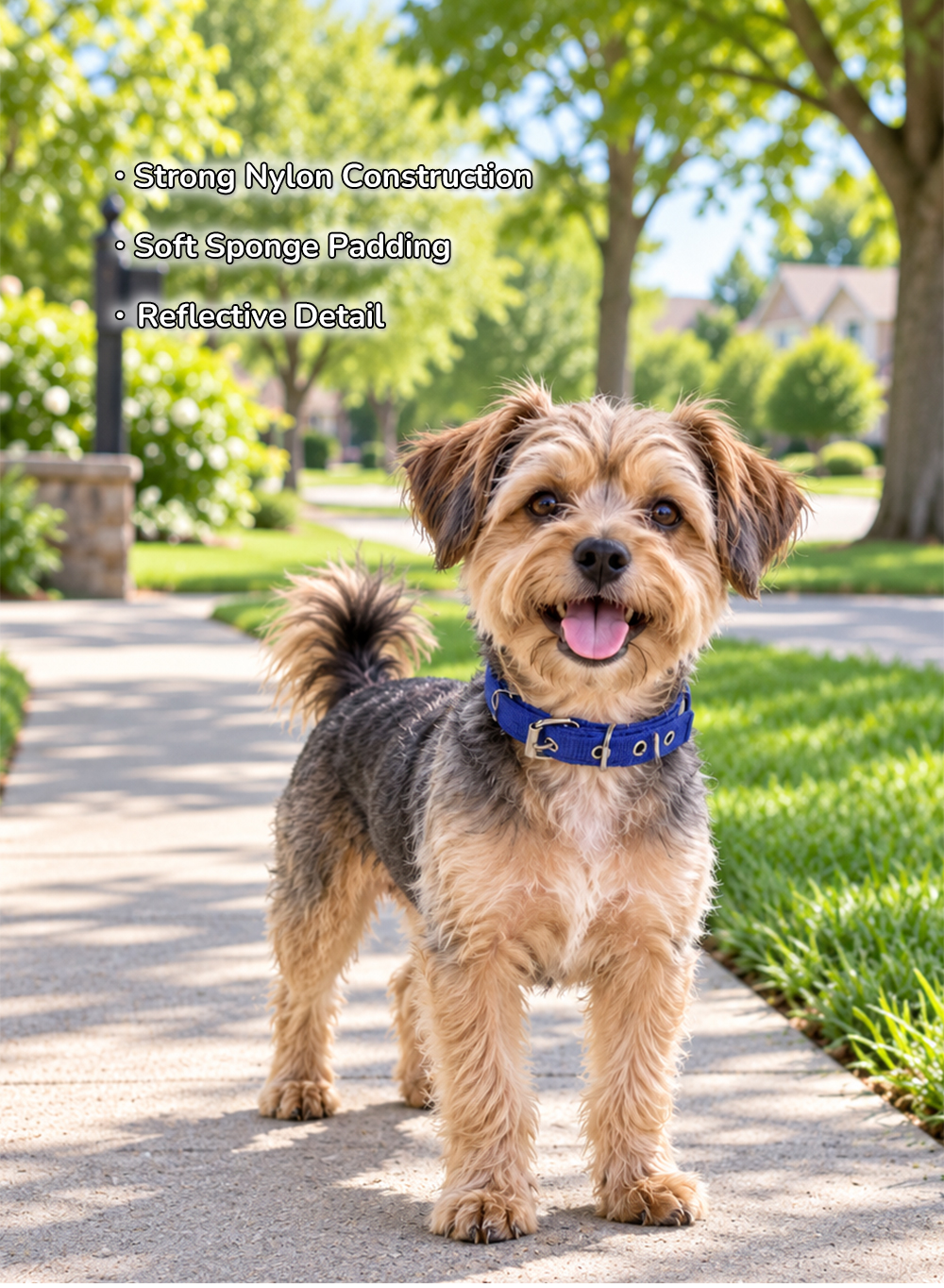 Custom Reflective Nylon Dog Collar with Soft Sponge Padding.jpg